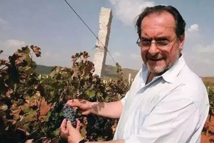 威廉比斯古堡至尊干红葡萄酒,奥林匹克干红葡萄酒