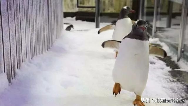 离岸人民币汇率破7有什么影响,一张图看懂人民币汇率破7