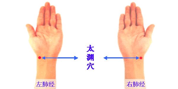 清肺润肺养肺最好方法小孩子,过敏鼻炎养肺润肺的最佳方法