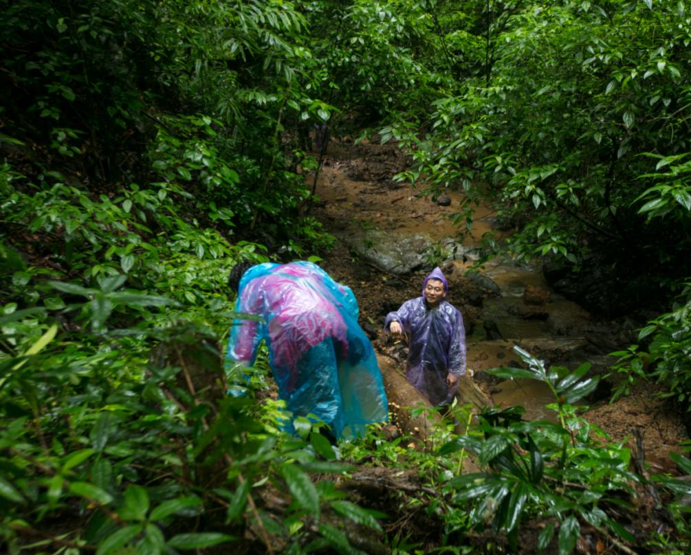 西双版纳13大旅游度假酒店，高品质，家庭出游最佳选择#版纳旅游