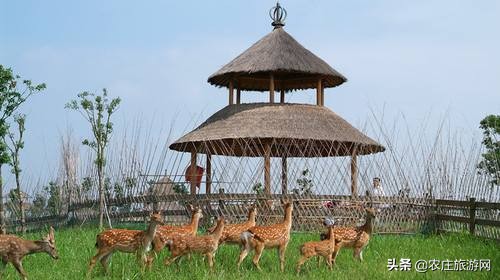 江浙沪附近的农庄度假村,江浙沪农家乐民宿旅游推荐