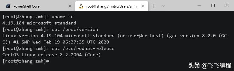 wsl2.0.0,centos8搭建nginx服务器