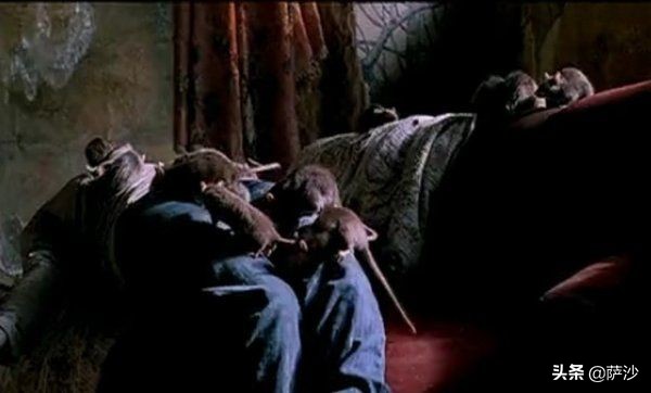 门徒电影深度解析,电影门徒反映了什么