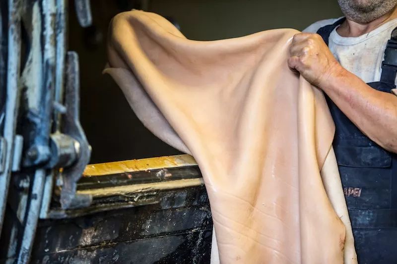 皮革的基础知识和分类,皮革的分类区分