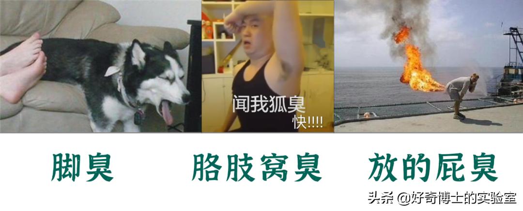 怎么样才可以让身体香香的,怎样让身体有香香的味道