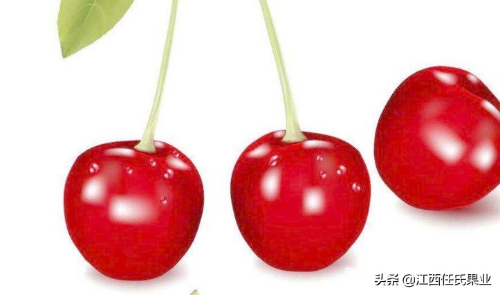 常吃樱桃能使皮肤变白吗,常吃樱桃有哪些好处