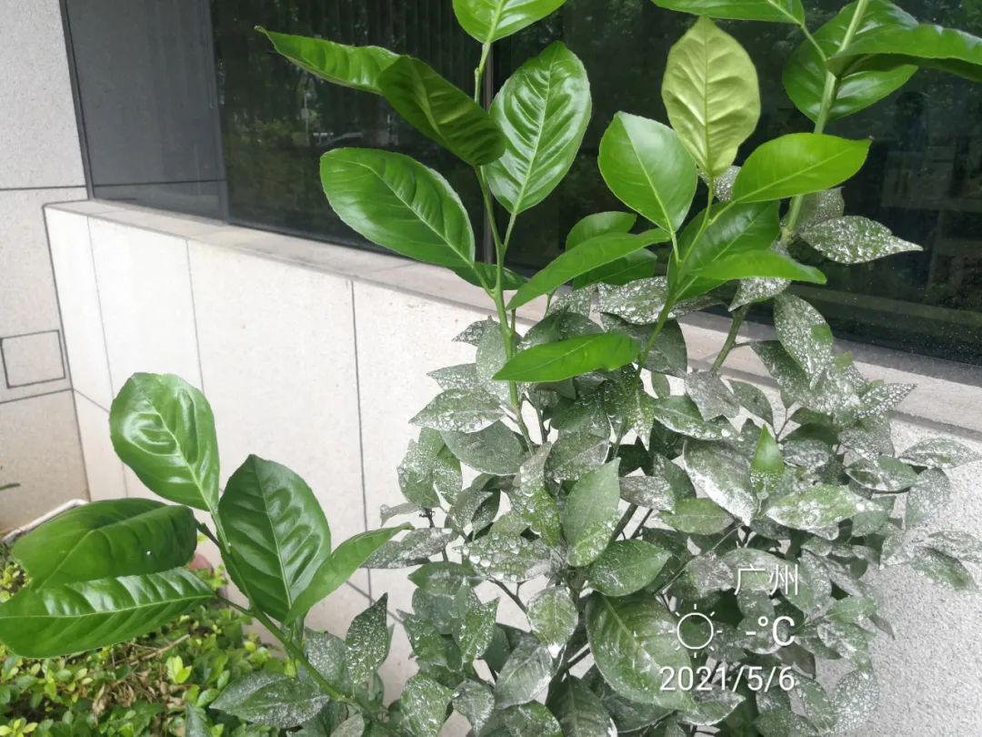 防晒品排行榜前十名12岁,防晒用品排行榜第一名