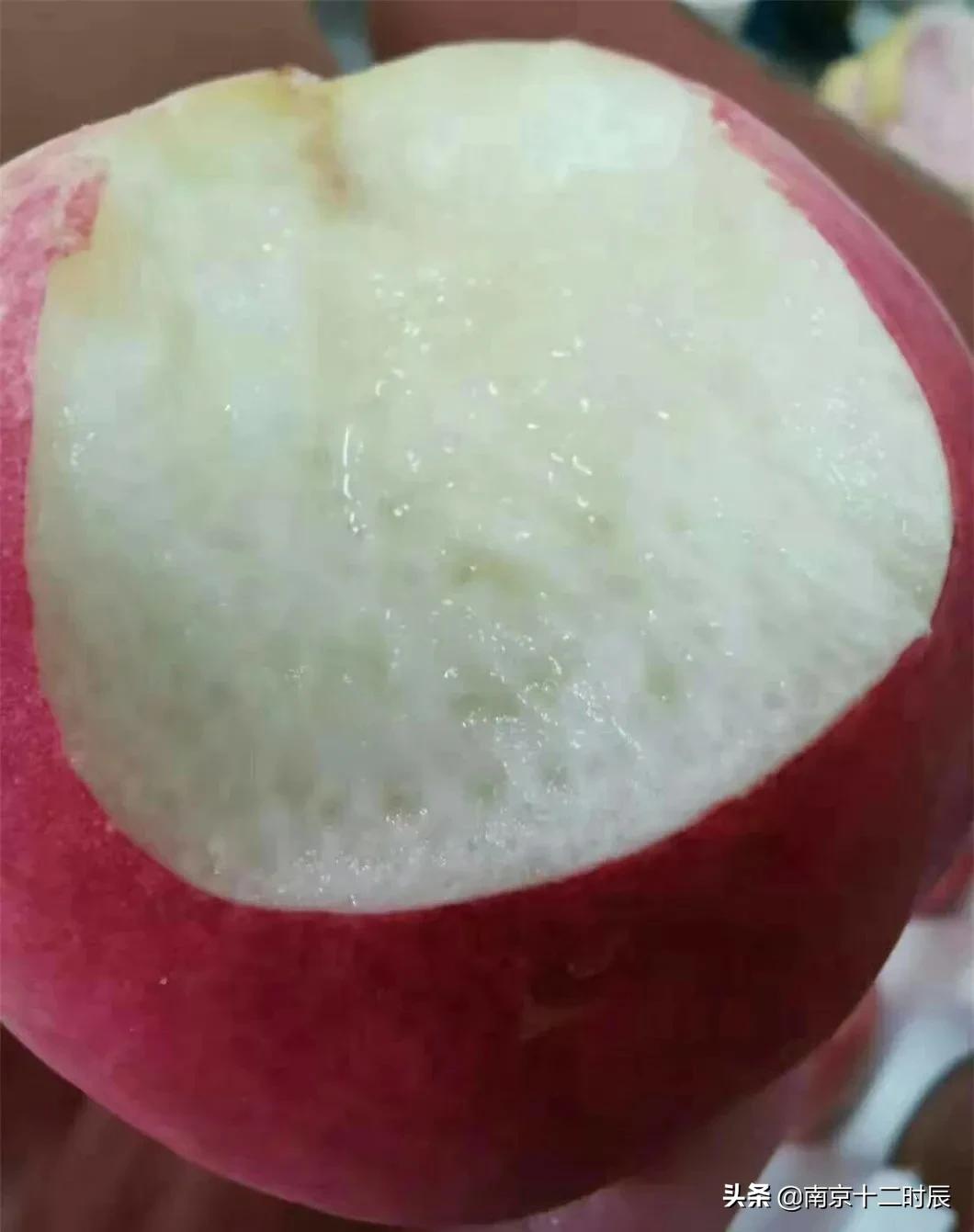 沂蒙山黄金水蜜桃,山东蒙阴金秋红蜜桃