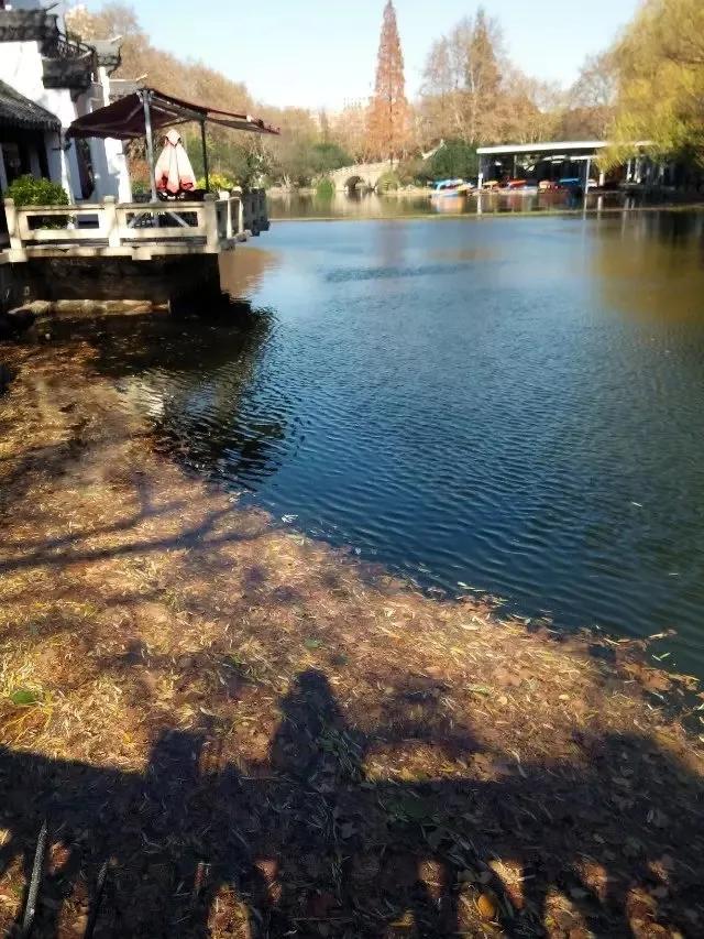 鲁讯公园的湛蓝色天空