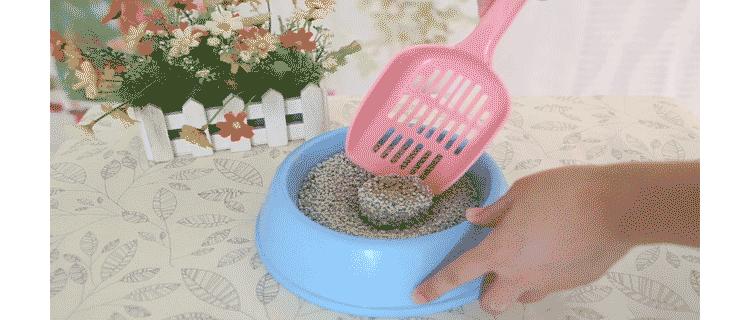 猫砂应该如何挑选好的品牌,猫砂到底该如何选择品牌