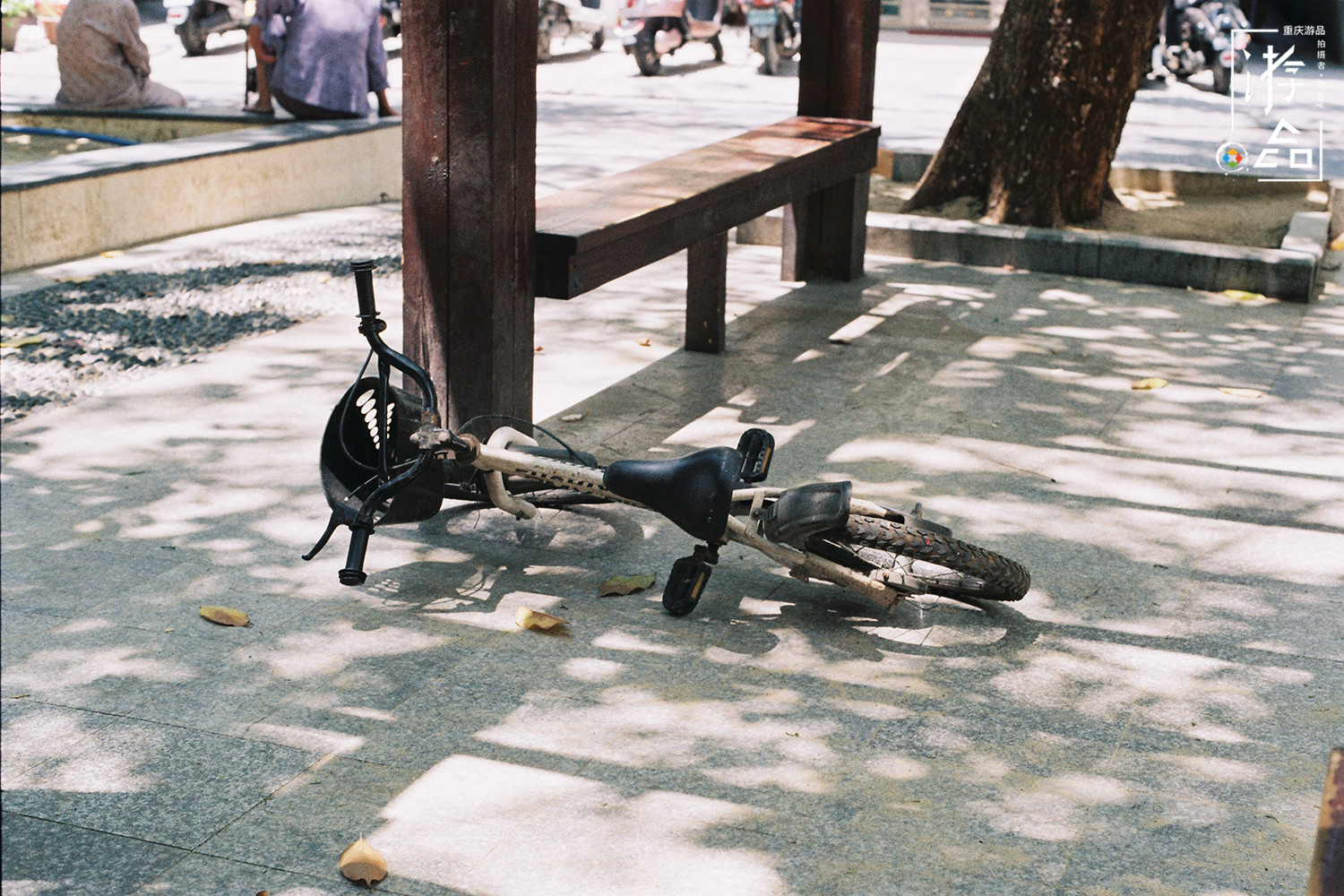 因为大街上看不见自行车，所以重庆人不会骑？你也太小看我们了吧