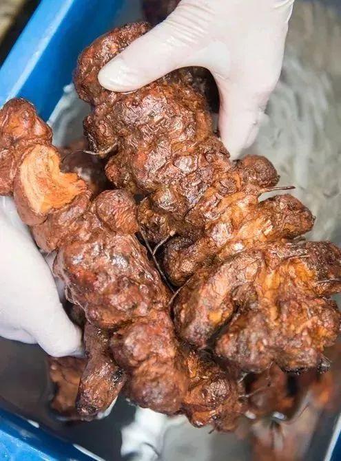 最火的网红甜品简单易学颜值高,低成本简单网红爆款甜品