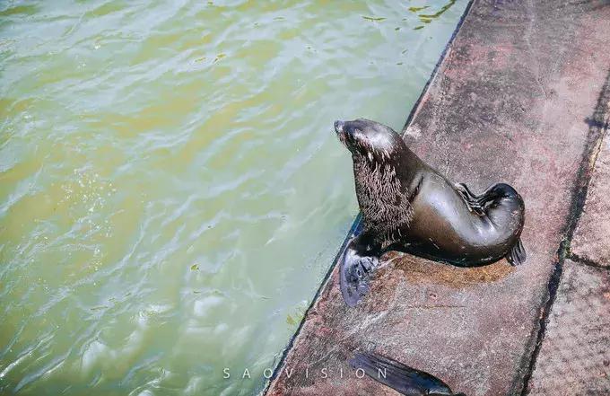 一生必去的中国50个最美原图,一生必去40个中国最美地方