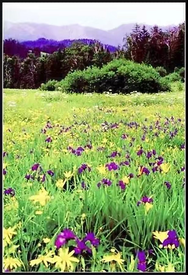 学英语有用吗视频,学英语最好用的app