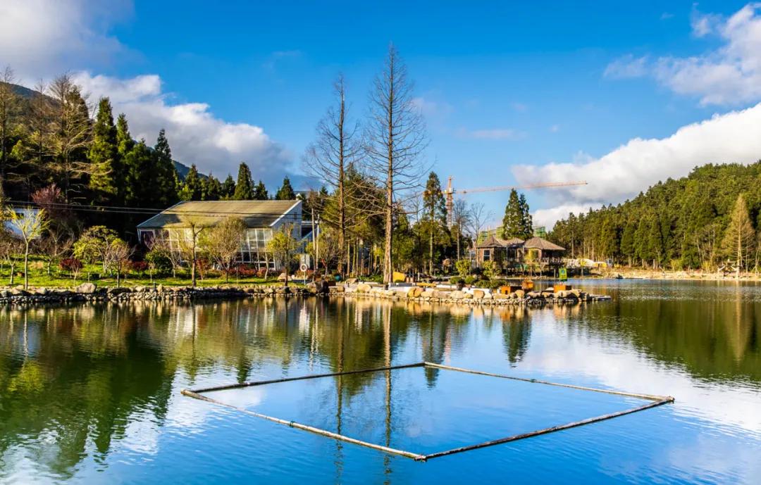 遂昌旅游景点排名前十,浙江省遂昌县经济排名