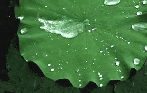 神奇的防水,防水喷雾鞋子无味