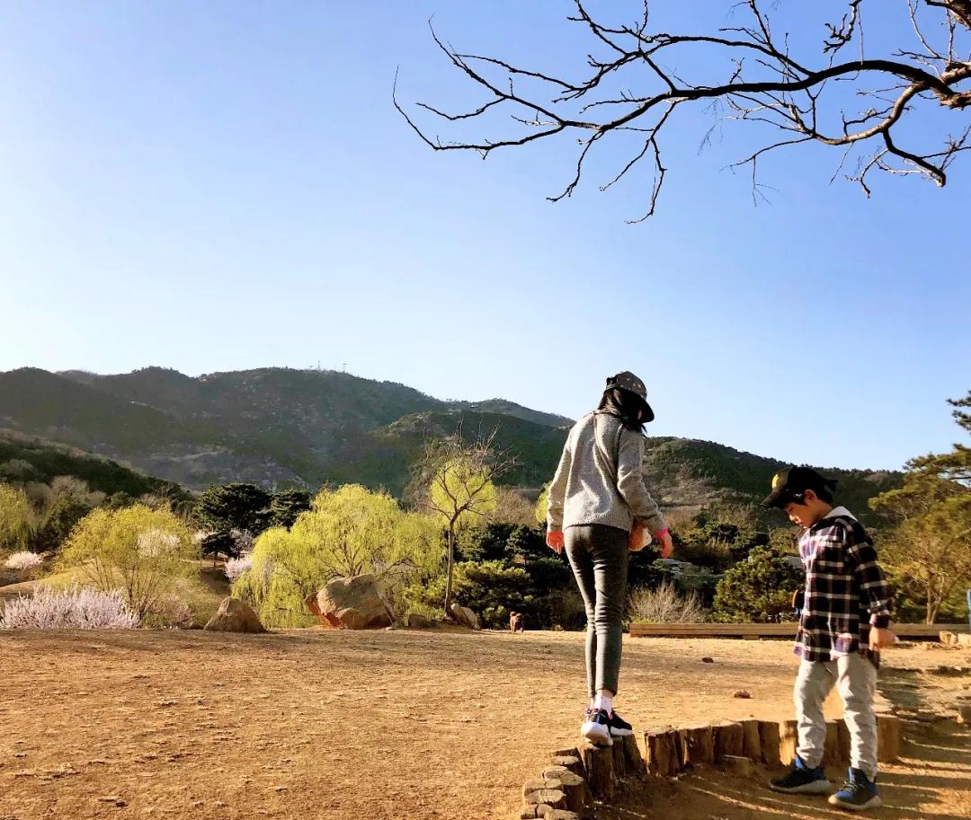 青苗国际双语学校海淀学费,北京青苗双语国际学校怎么样