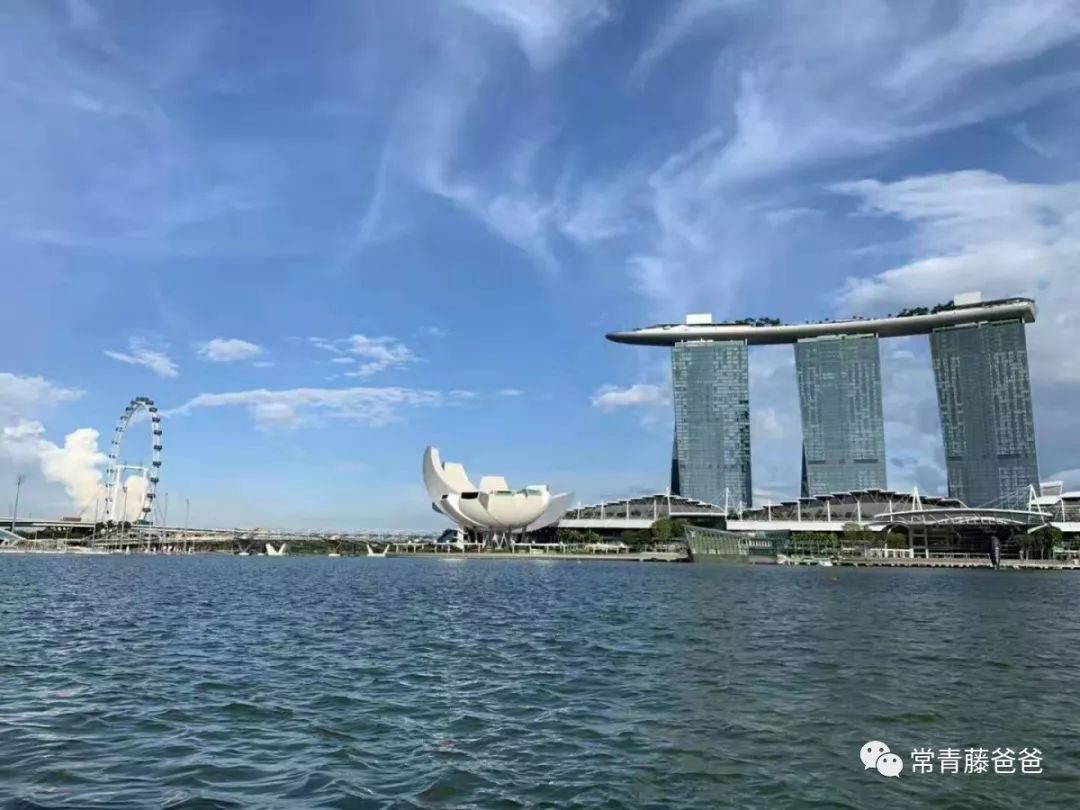 十一新加坡,十一游学新加坡