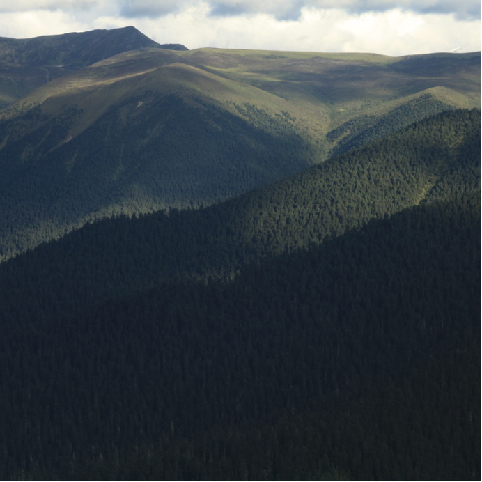 自驾31810天行程,318自驾游第一视角合集