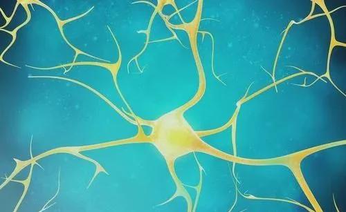 减肚子和减腰背部运动30分钟,每天都运动肚子怎么不瘦