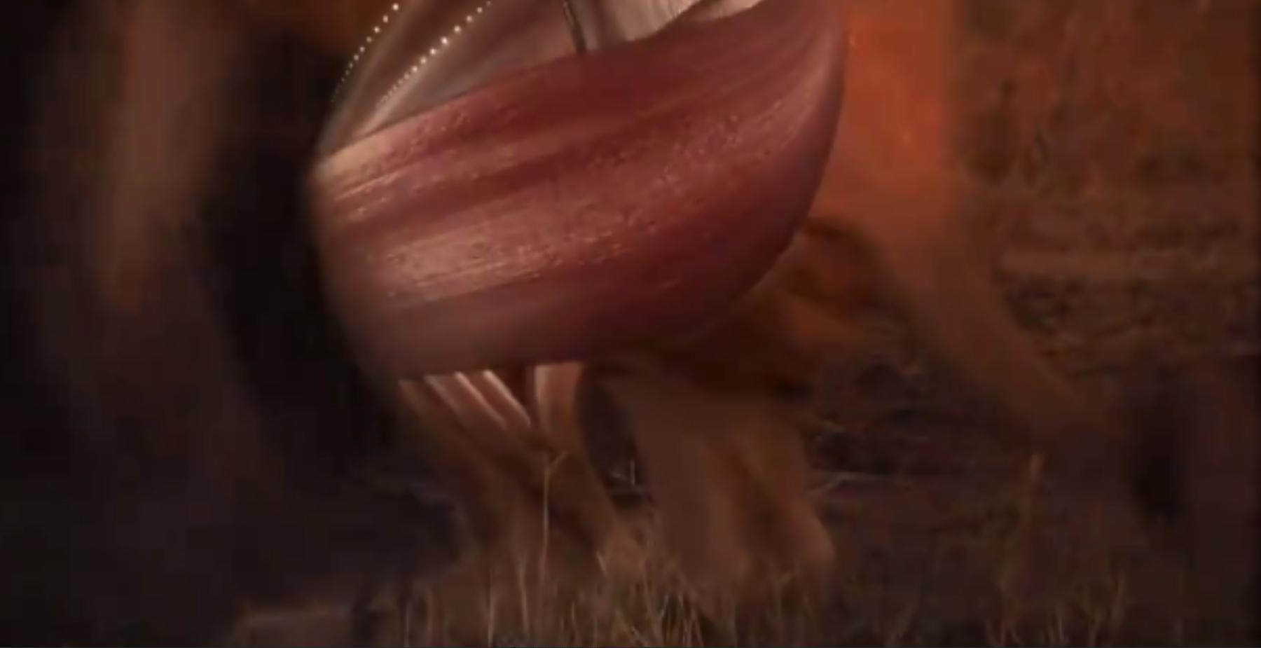 两个外国人吃狮子,两个外国人挑战被各种生物咬