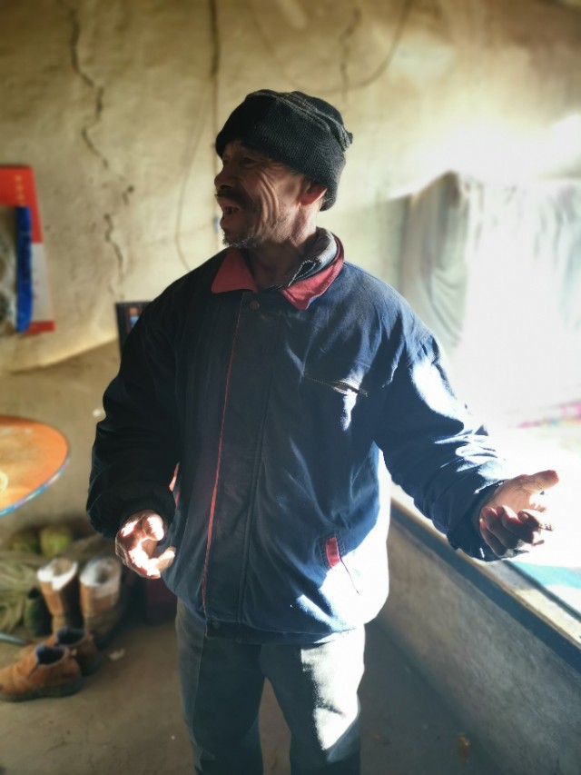 新生榆钱种子发芽,舒兰县榆树沟