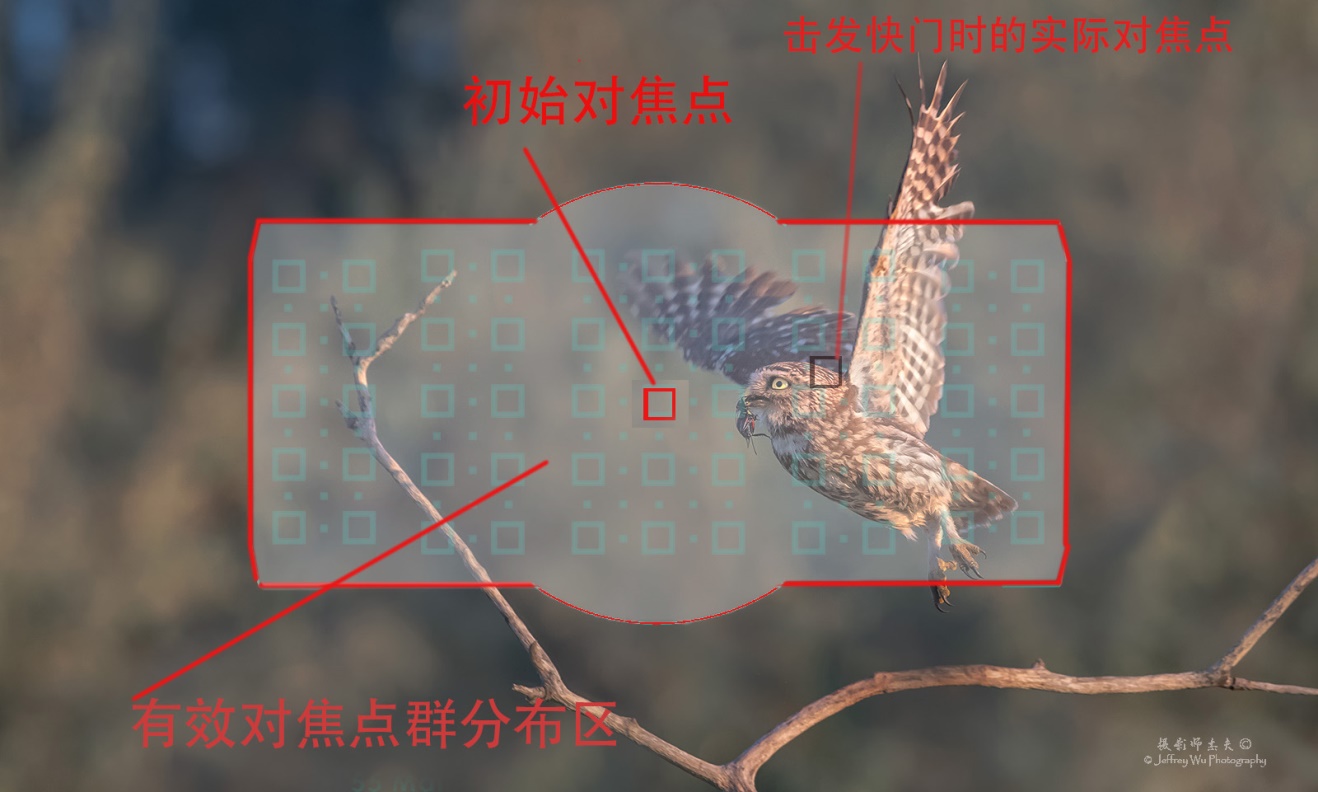 尼康nikond850拍摄视频,摄影器材篇尼康d850