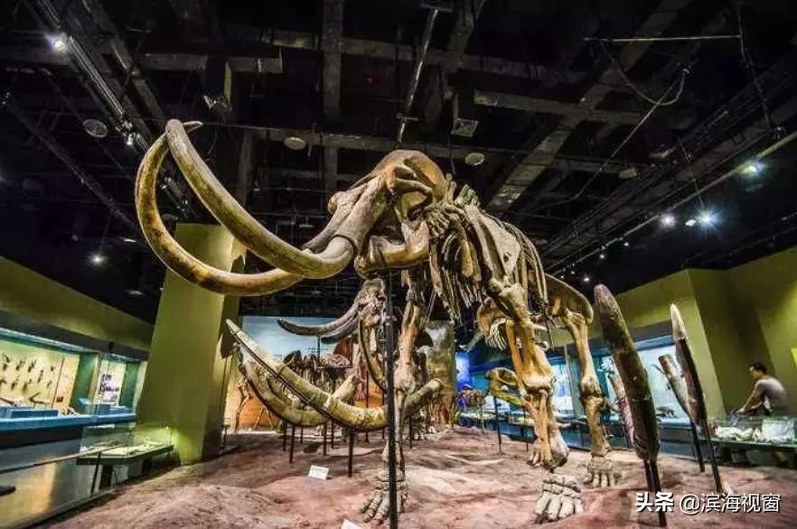 天津免费的旅游景点,塘沽一日游必去景点天津免费海滩