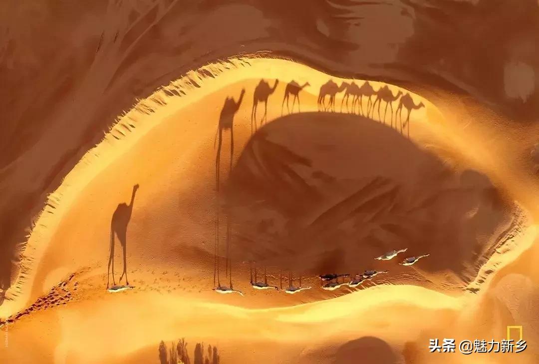 美国国家地理杂志2020摄影作品,美国国家地理杂志摄影展