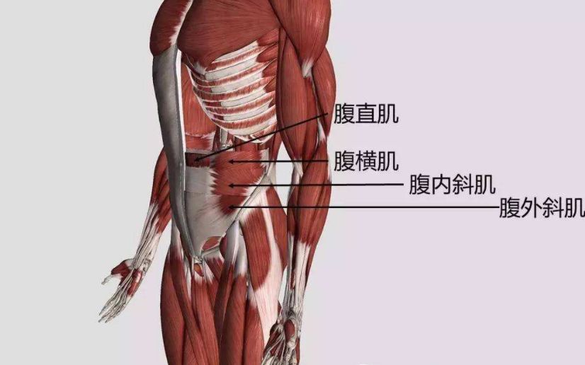 每天五百个卷腹多久才能看见效果,每天做100个卷腹有什么效果