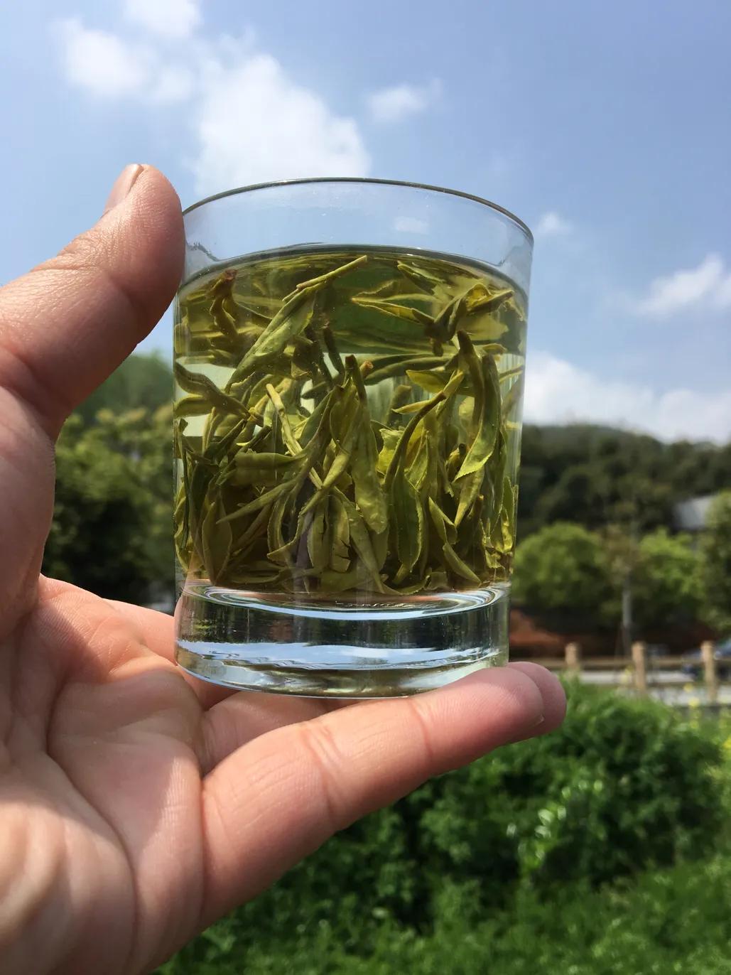 如何挑选西湖龙井茶,西湖龙井茶多少一斤