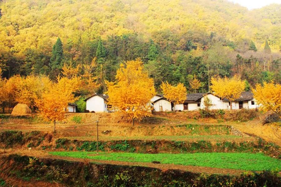 襄阳武汉周边旅游景点,武汉周边民宿旅游景点