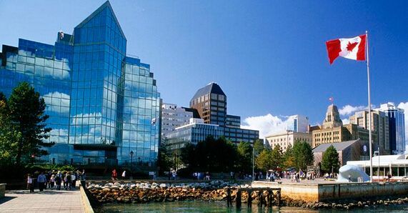 极地天然西洋参价格,极地天然西洋参