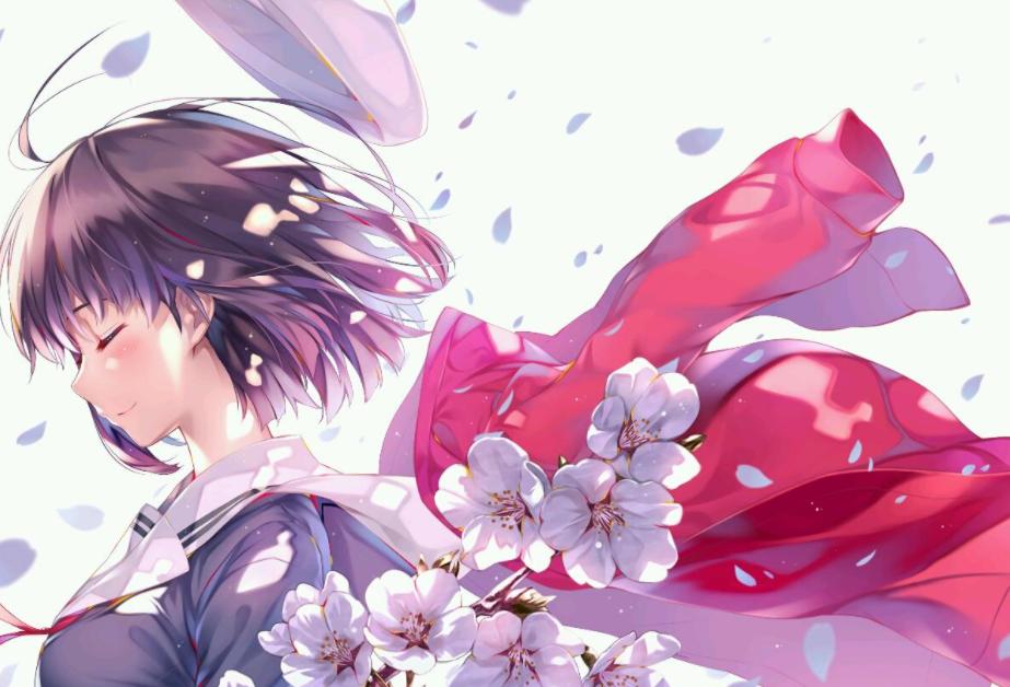 漫展如何买本子,漫展上的本子多少钱