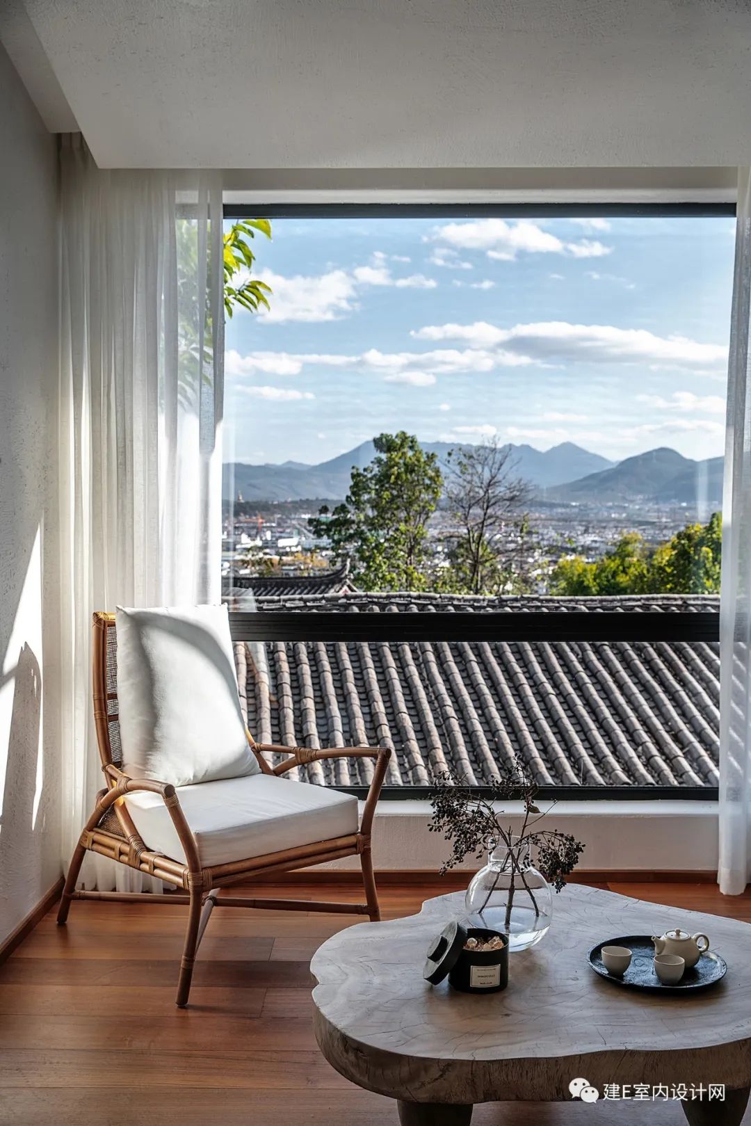 乘风破浪谢柯,谢柯个人简历