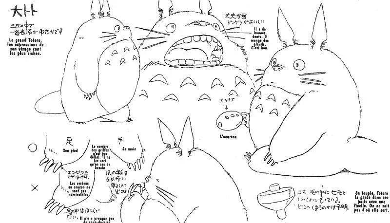 龙猫多大生小龙猫 (公龙猫还是母龙猫)