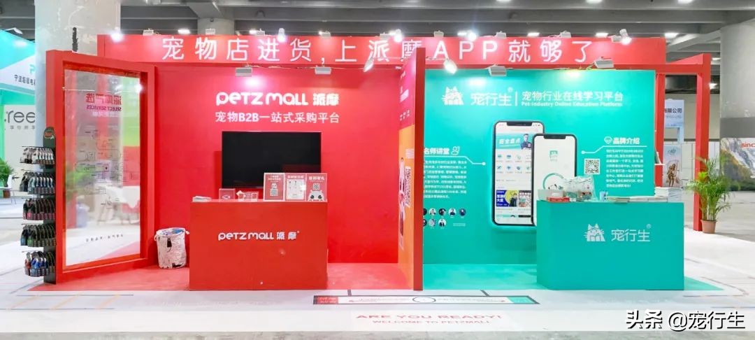 2020CIPS宠物展于广州开展，一大波萌物正在靠近
