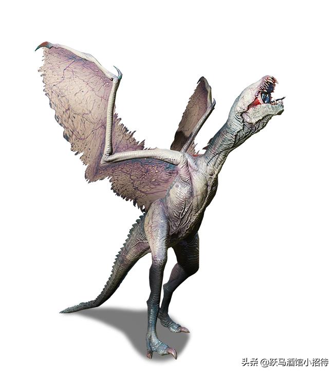 猎魔人跟狼人,美剧猎魔人十大魔法