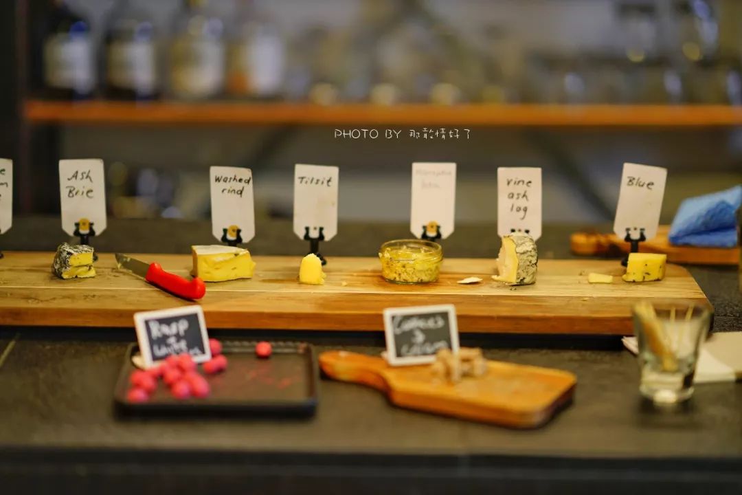 去哪里旅游可以看南极企鹅,旅游攻略南极看企鹅