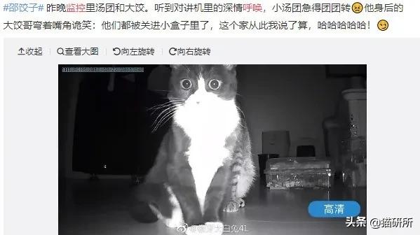 给猫咪装的摄像头是什么样子的,猫咪摄像头有哪些
