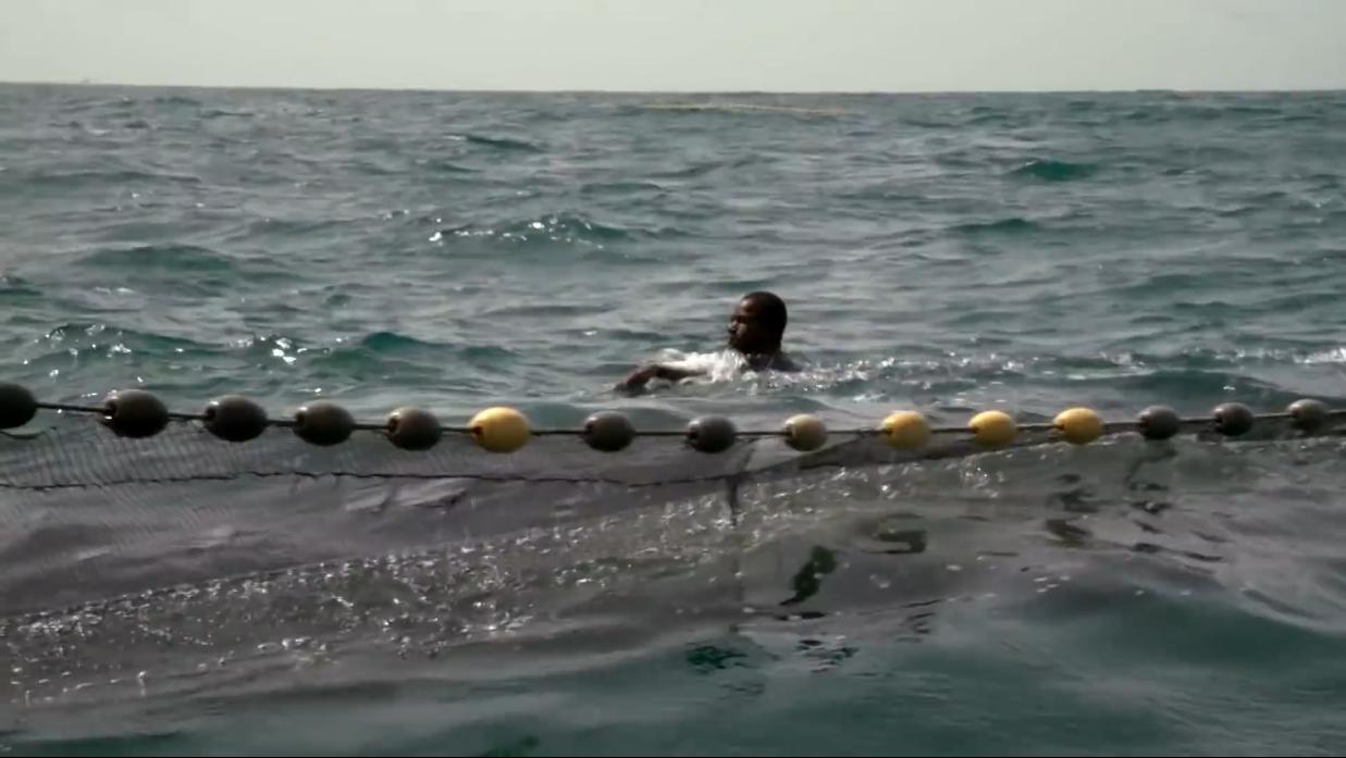 非洲小哥淘来法国二手车开出租，280公里只要47元，但要开12小时