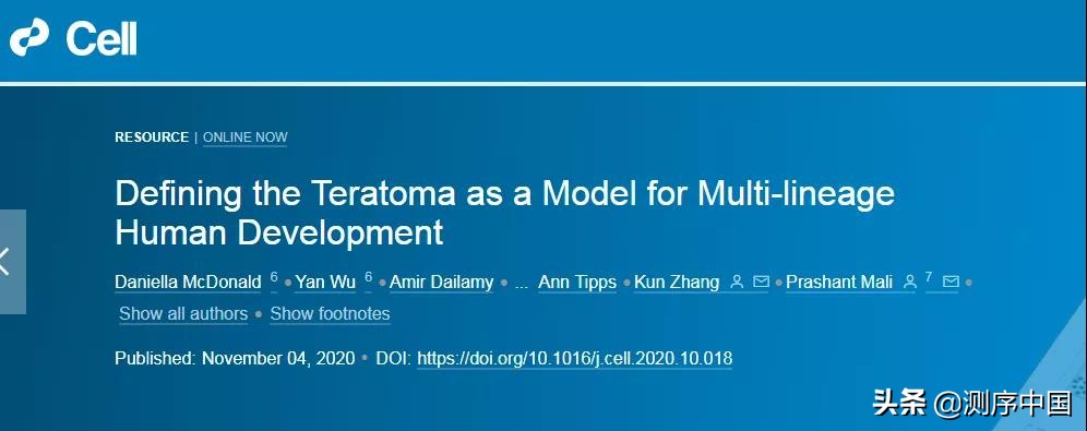 基于单细胞测序，张鹍团队揭示畸胎瘤作为早期胚胎发育模型的潜力
