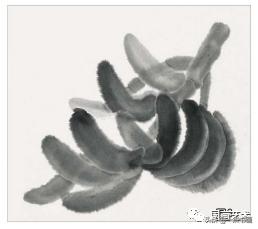 芭蕉叶画法教程,国画芭蕉画法视频