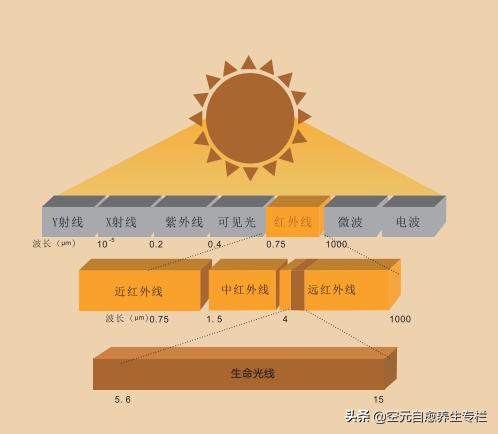 出汗真的可以排毒养颜吗,出汗不排毒为什么夏天还要出汗