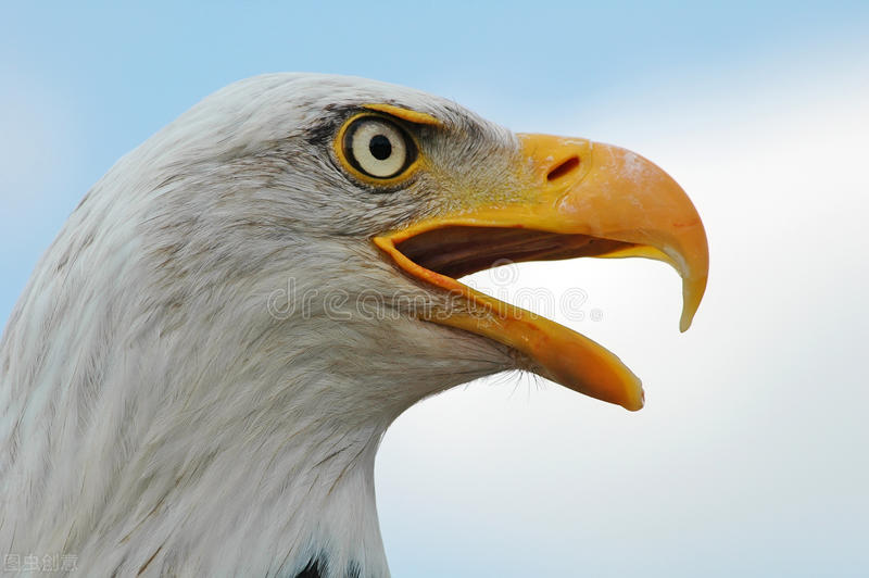 怎么做到眼睛有光,训练眼睛有神有光的方法