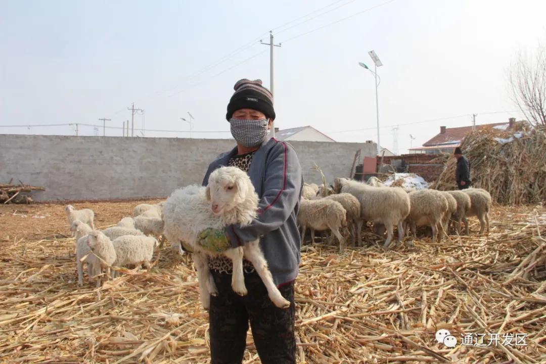 春色最浓在田间种植养殖齐发展