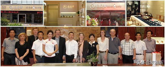 深度分析白茶市场,白茶品牌化发展道路要怎么走