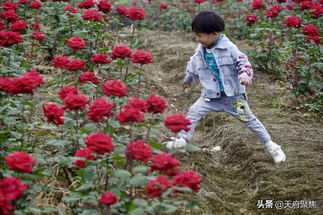 仁寿夏季旅游景区,2020仁寿旅游