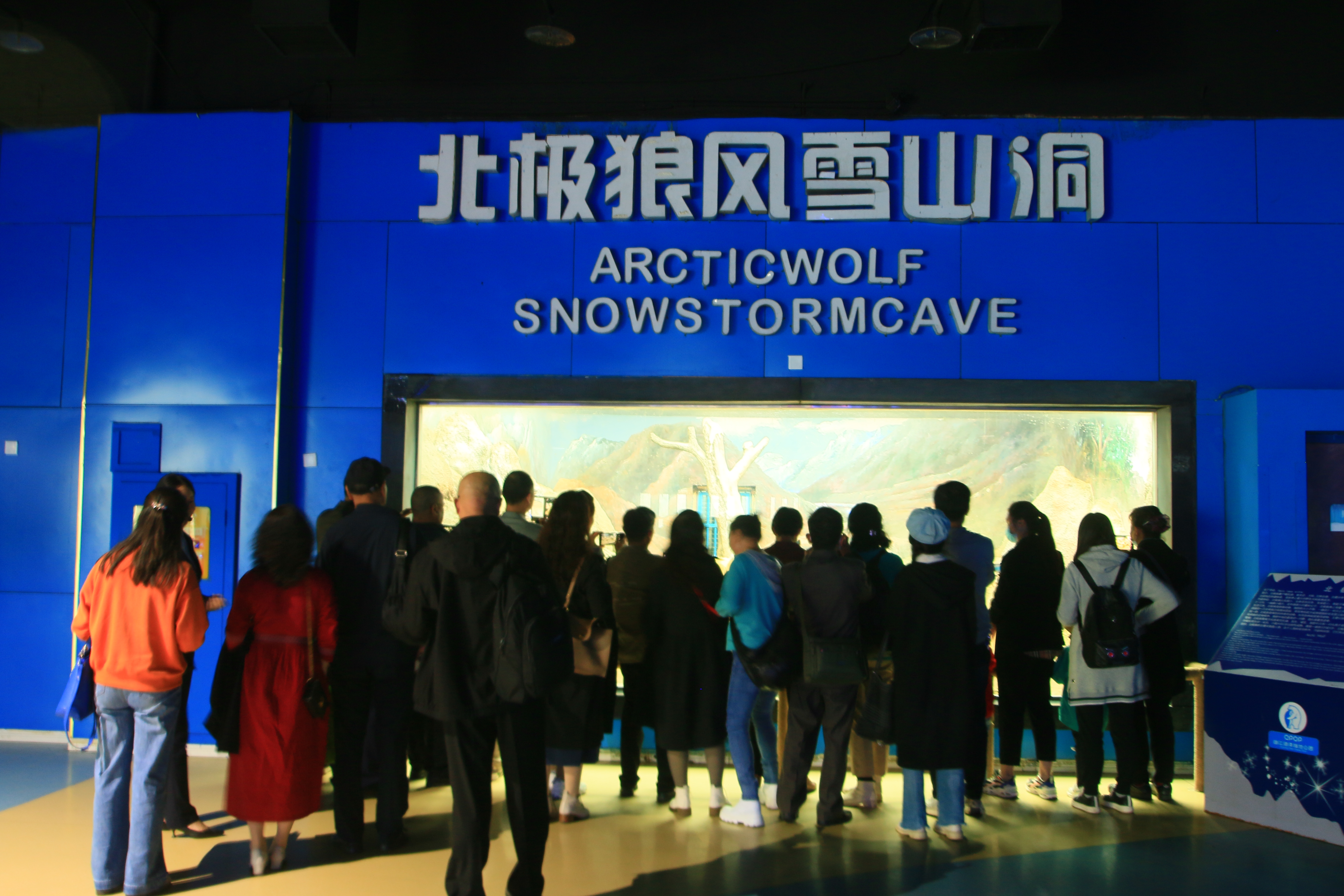 西安曲江海洋极地公园和海洋馆,游西安曲江海洋极地公园