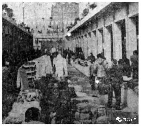 新荷花池,新发荷花池